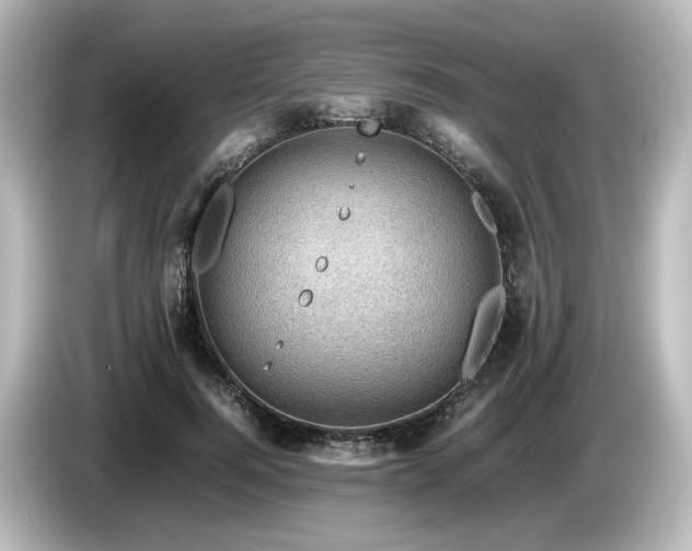 X0000085740744200703161027