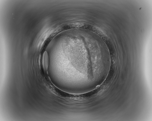 X0000085740745200703161027