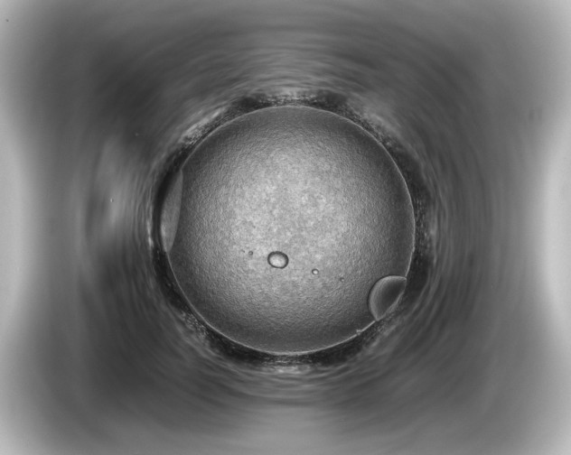 X0000085740746200703161027