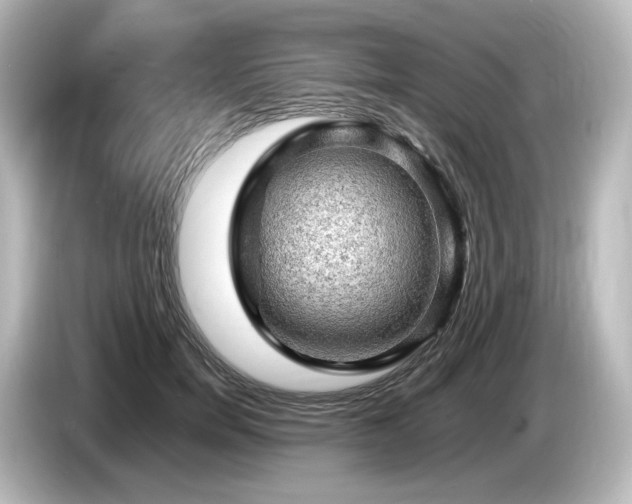 X0000085740750200703161028