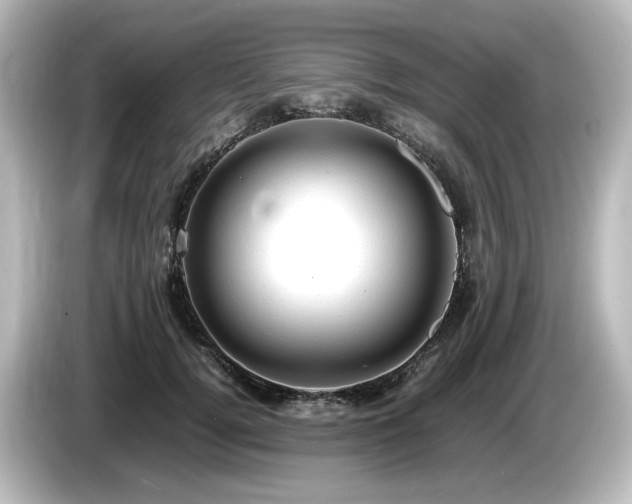X0000085740752200703161028