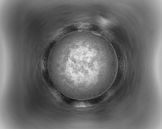 X0000085740755200703161028