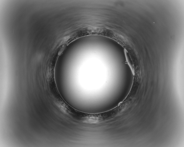 X0000085740756200703161028