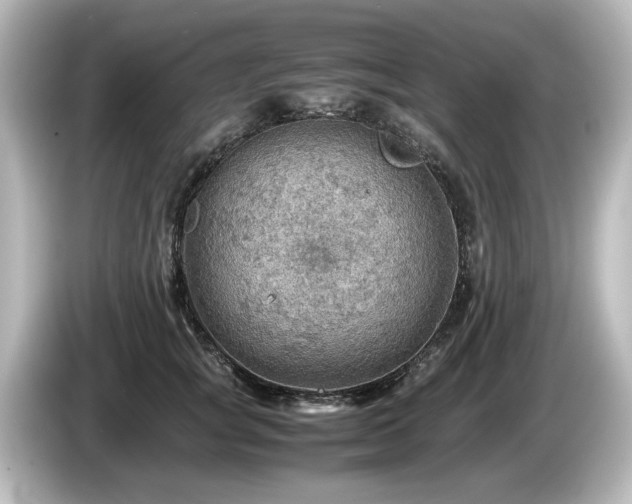 X0000085740757200703161028