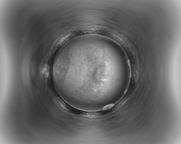 X0000085740758200703161028