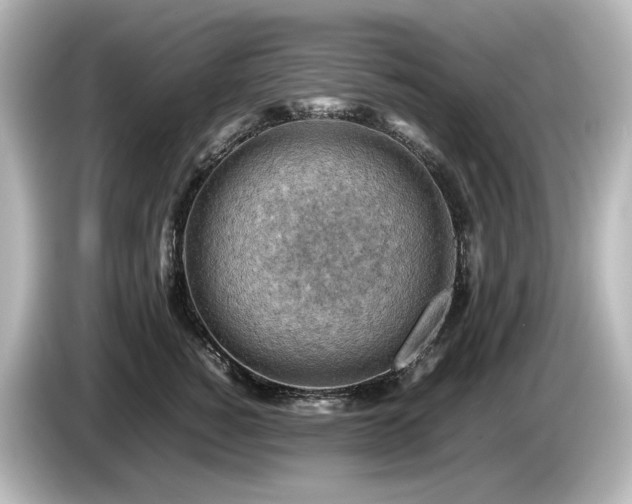 X0000085740760200703161028