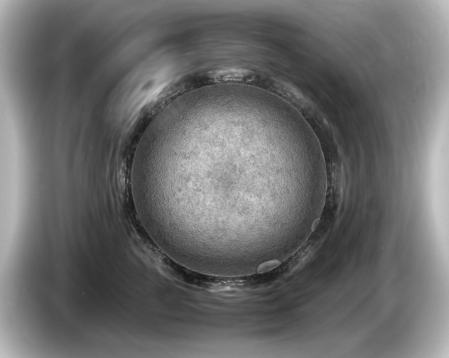 X0000085740761200703161028