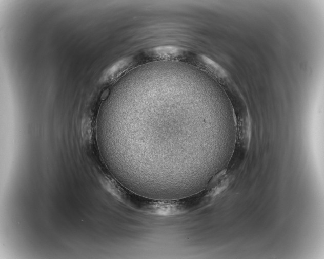 X0000085740762200703161028