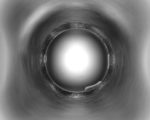 X0000085740764200703161028