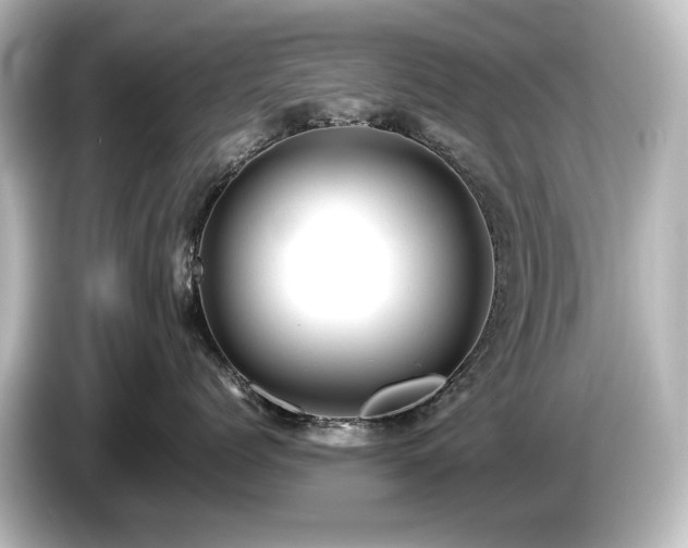 X0000085740768200703161028