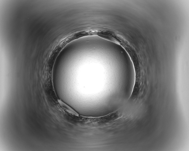 X0000085740773200703161027