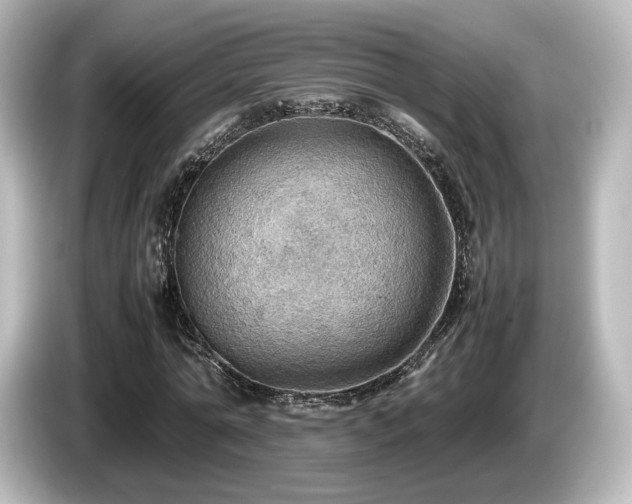 X0000085740774200703161027