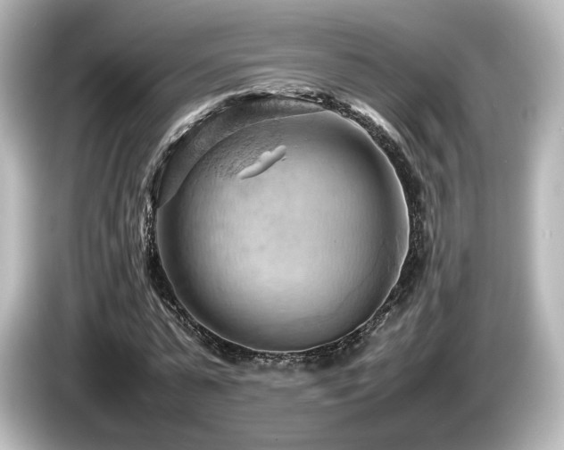 X0000085740775200703161027
