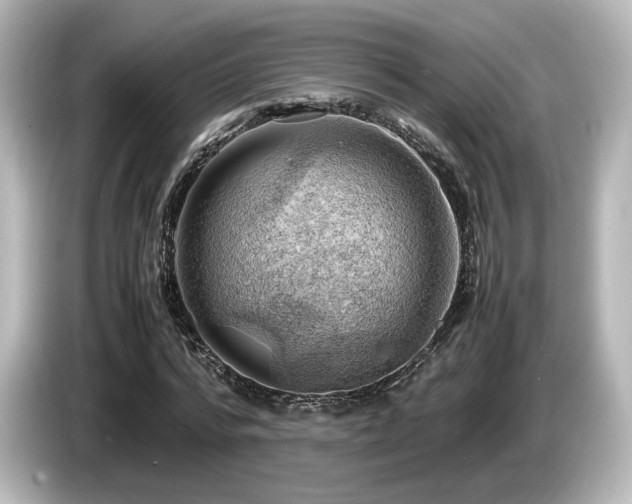 X0000085740776200703161027