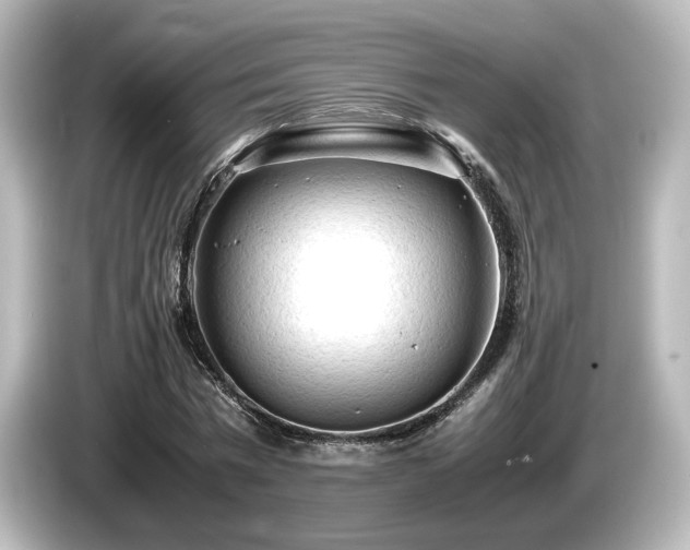 X0000085740777200703161027
