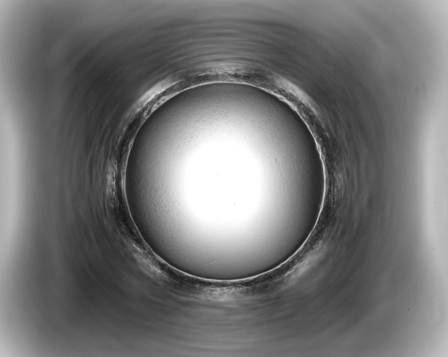X0000085740778200703161027
