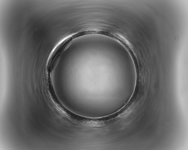 X0000085740779200703161027
