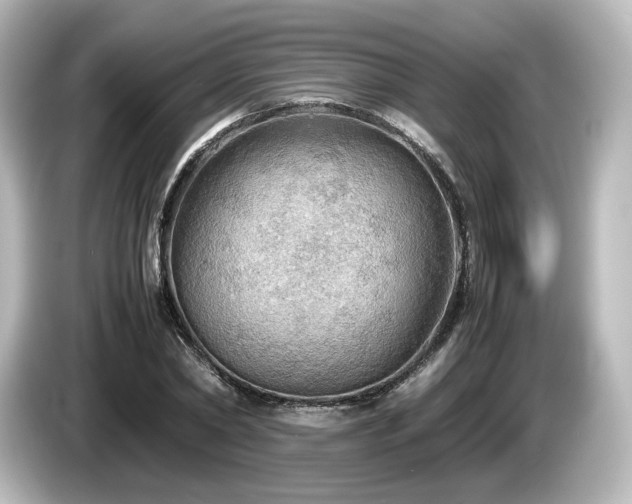 X0000085740782200703161027