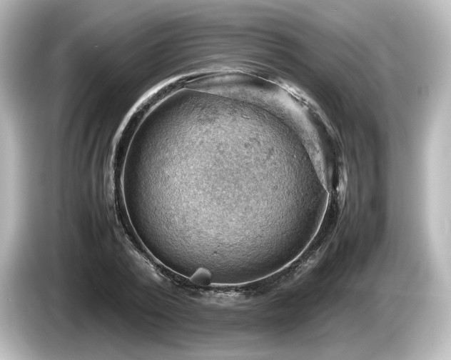 X0000085740784200703161027