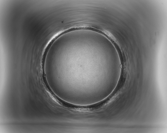 X0000085740789200703161027