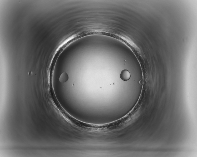 X0000085740790200703161027