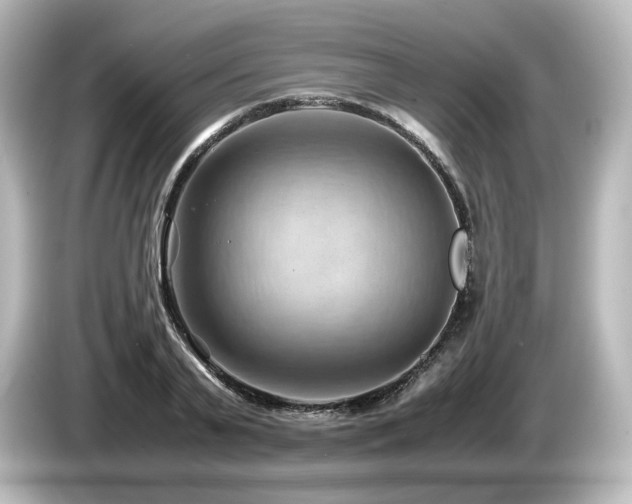 X0000085740791200703161027