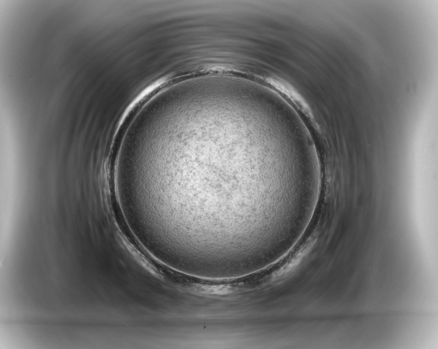 X0000085740798200703161027