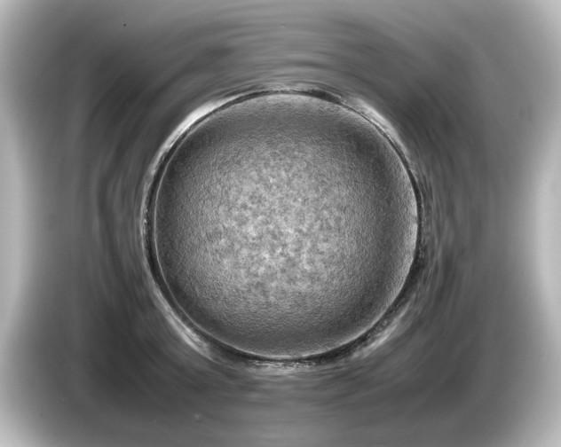 X0000085740803200703161027