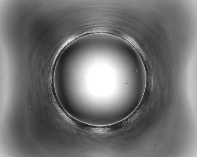 X0000085740805200703161027