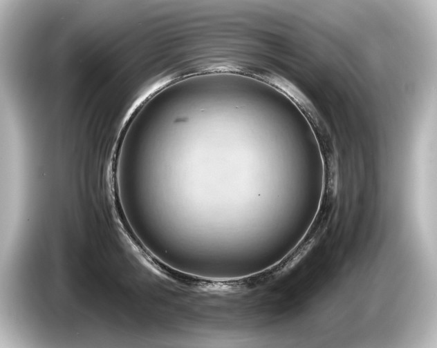 X0000085740806200703161027
