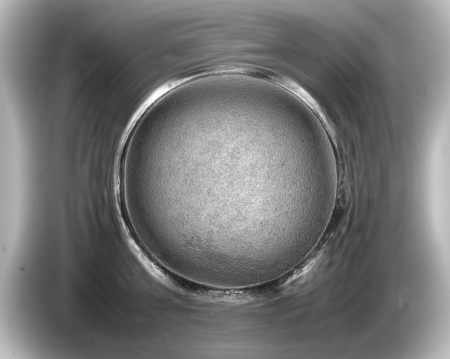 X0000085740811200703161027
