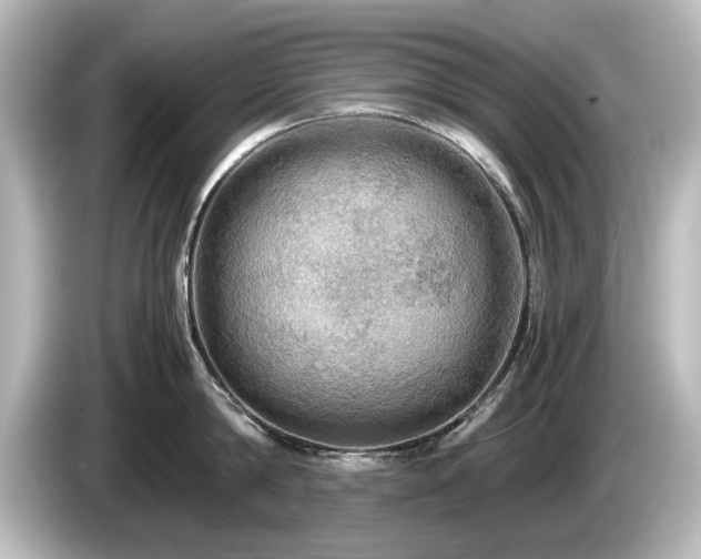 X0000085740814200703161026