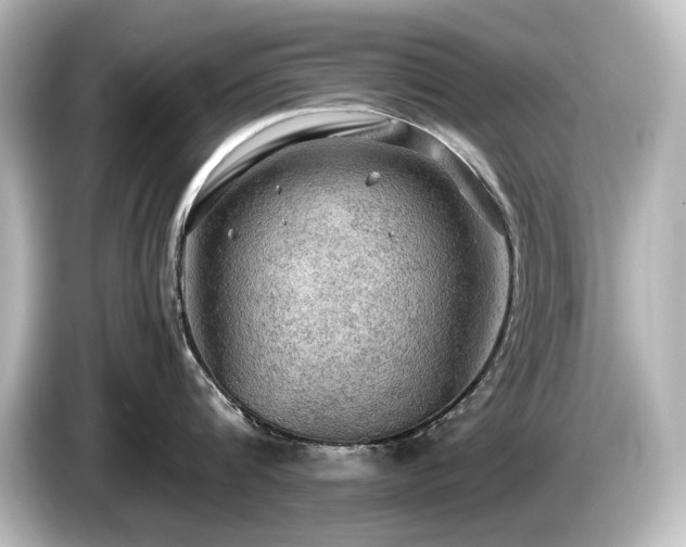 X0000085740816200703161026