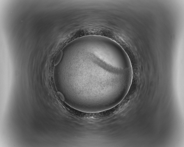 X0000085740817200703161026