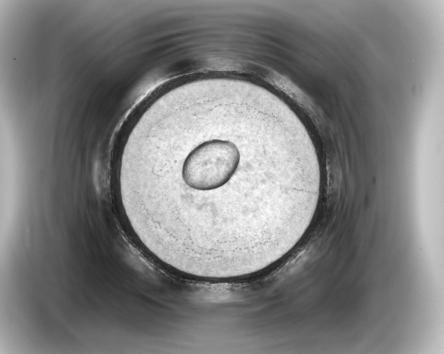 X0000085740828200703161026