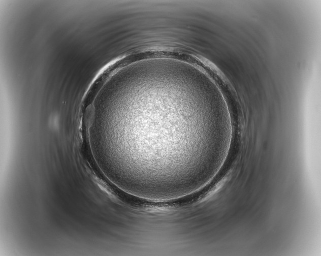 X0000085740830200703161026