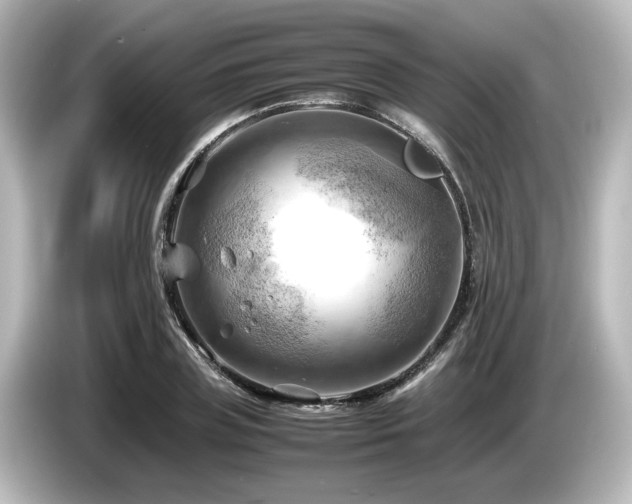 X0000085740835200703161026
