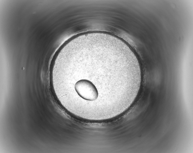 X0000085740836200703161026