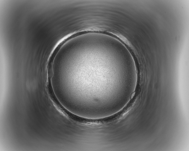 X0000085740838200703161026