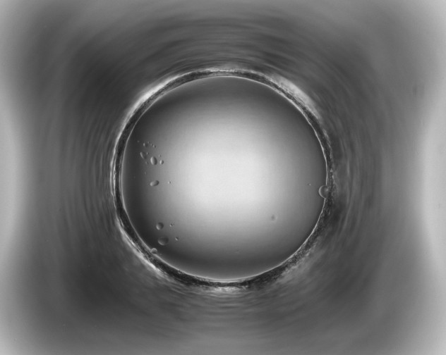 X0000085740839200703161026