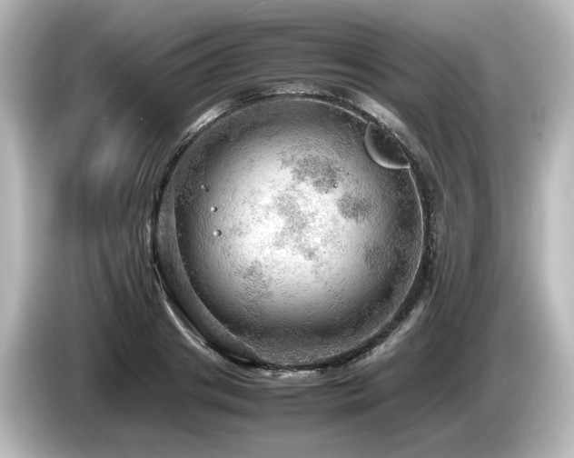 X0000085740841200703161026