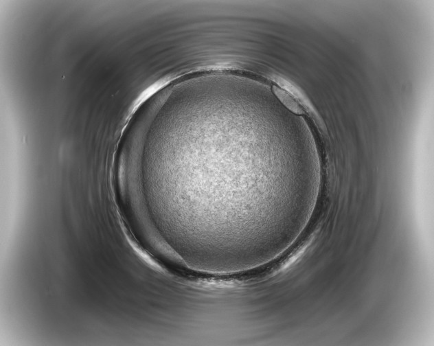 X0000085740842200703161026