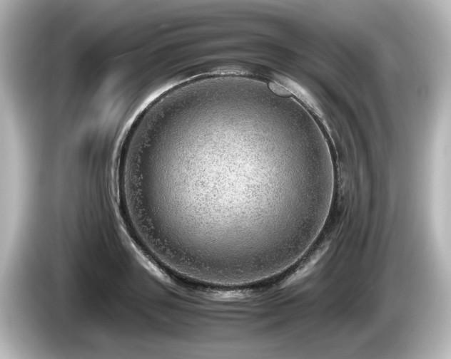 X0000085740843200703161026