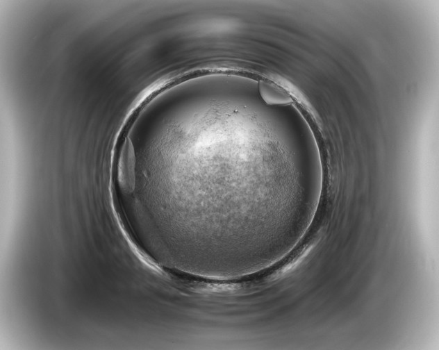 X0000085740845200703161026