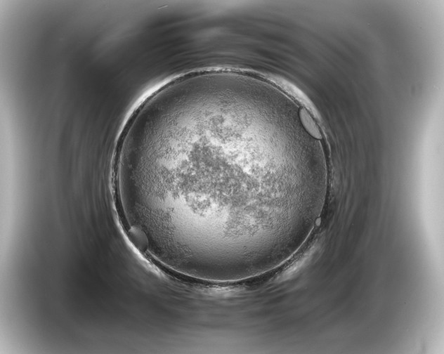 X0000085740847200703161026