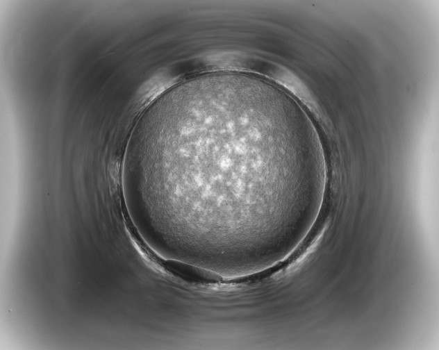 X0000085740849200703161026