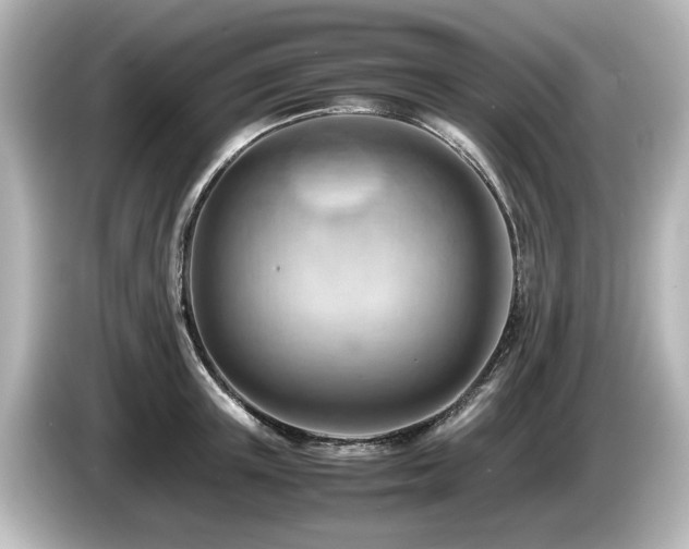 X0000085740851200703161026