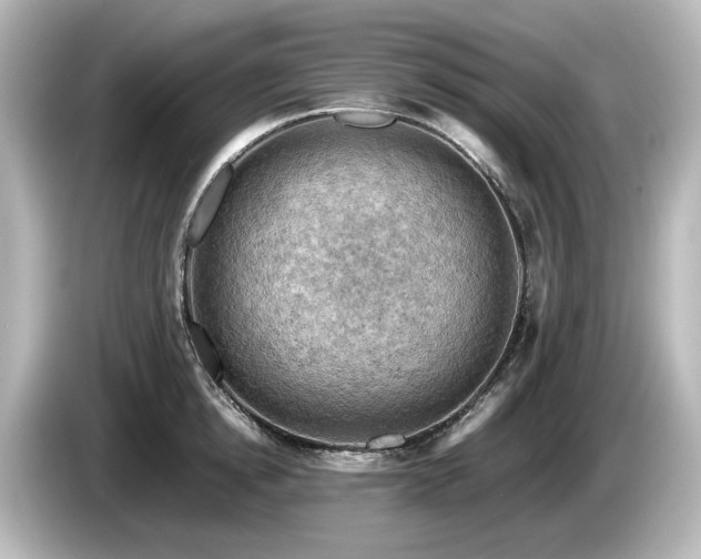 X0000085740854200703161026