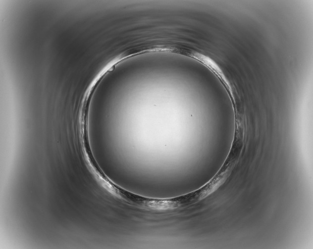 X0000085740859200703161026