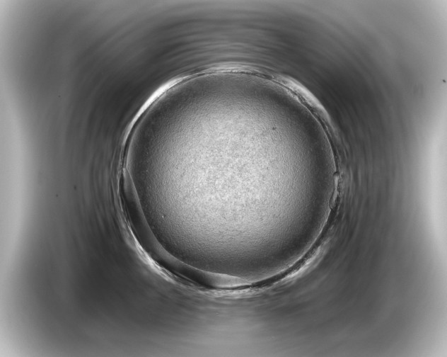 X0000085740860200703161026